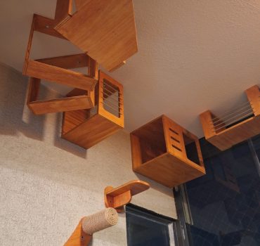 Copia de 20240708_190218